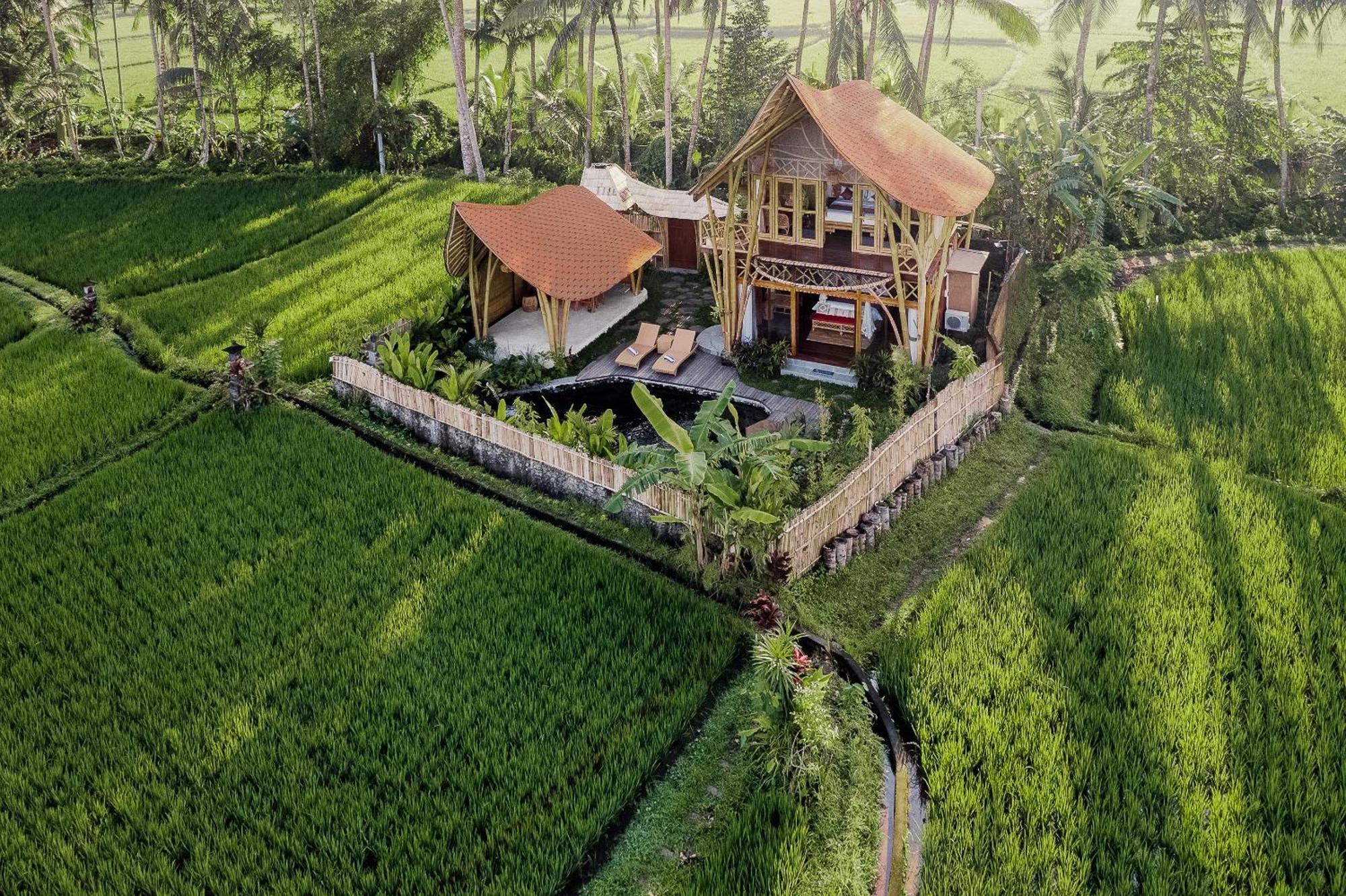 Arapan Ubud Eco Villa Exterior foto